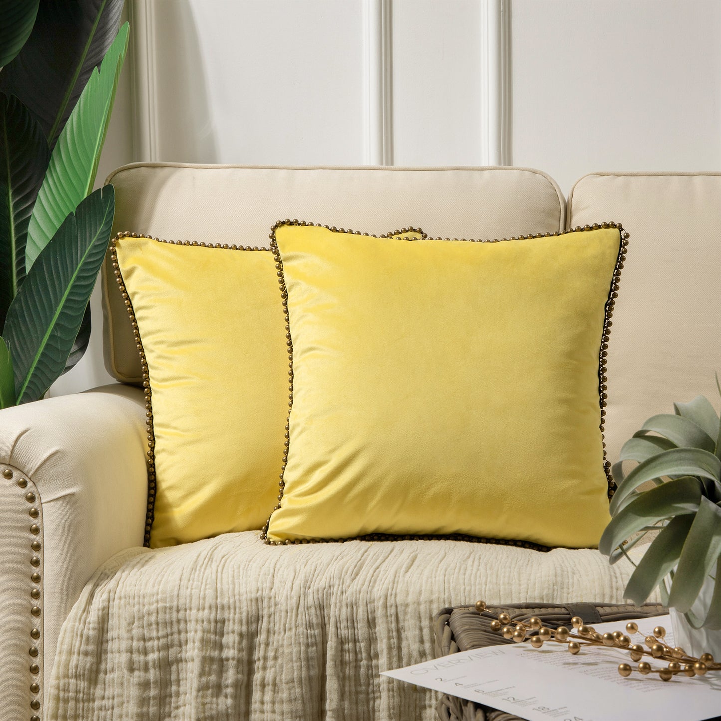 Particles Trimmed Soft Velvet Throw Pillow Covers, 1 Pack of 2